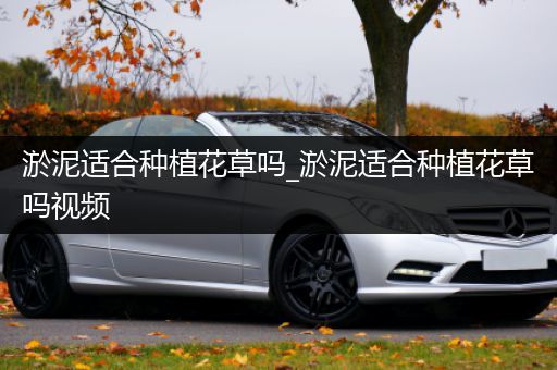 淤泥适合种植花草吗_淤泥适合种植花草吗视频