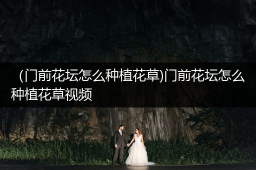 （门前花坛怎么种植花草)门前花坛怎么种植花草视频