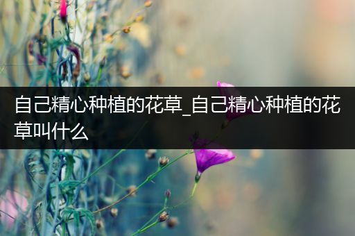 自己精心种植的花草_自己精心种植的花草叫什么