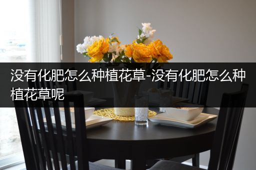 没有化肥怎么种植花草-没有化肥怎么种植花草呢