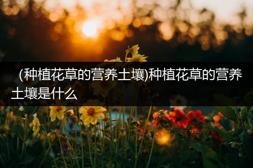 （种植花草的营养土壤)种植花草的营养土壤是什么