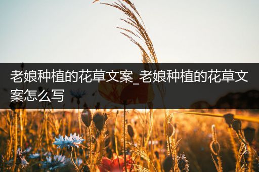老娘种植的花草文案_老娘种植的花草文案怎么写