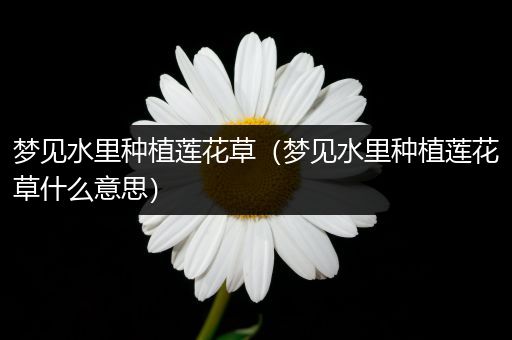 梦见水里种植莲花草（梦见水里种植莲花草什么意思）