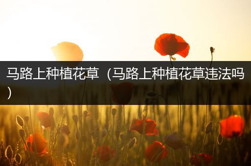马路上种植花草（马路上种植花草违法吗）