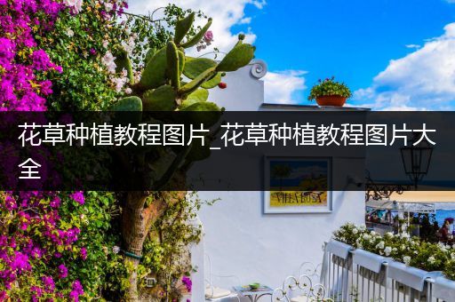 花草种植教程图片_花草种植教程图片大全