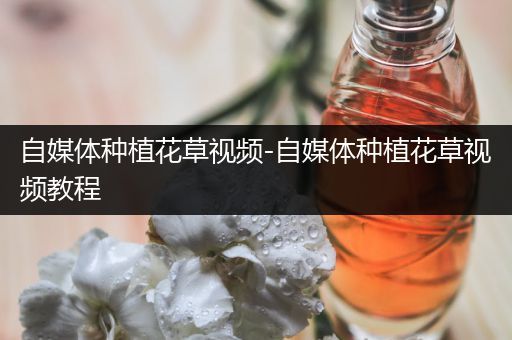 自媒体种植花草视频-自媒体种植花草视频教程