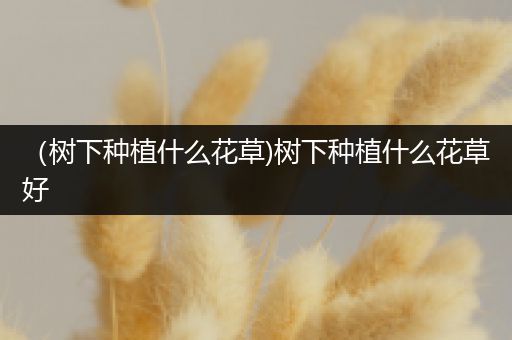 （树下种植什么花草)树下种植什么花草好