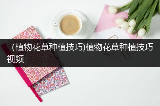 （植物花草种植技巧)植物花草种植技巧视频