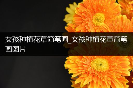 女孩种植花草简笔画_女孩种植花草简笔画图片
