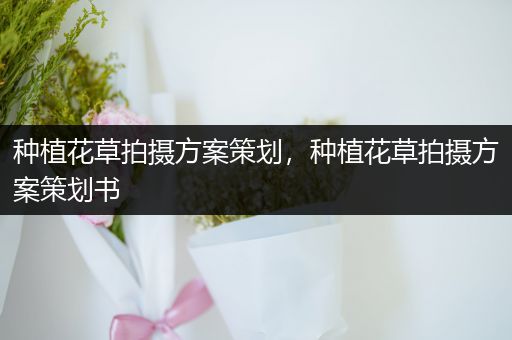 种植花草拍摄方案策划，种植花草拍摄方案策划书