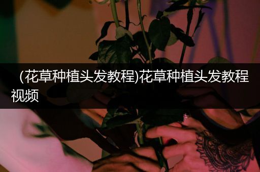 （花草种植头发教程)花草种植头发教程视频