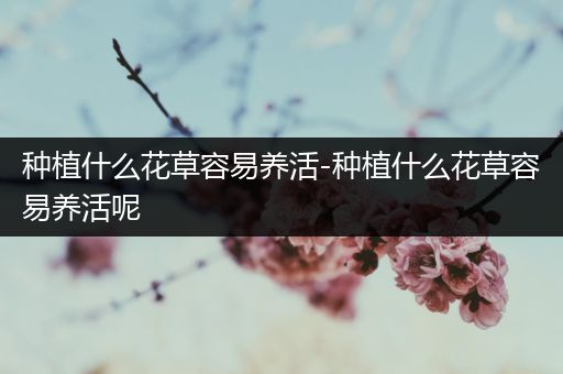 种植什么花草容易养活-种植什么花草容易养活呢