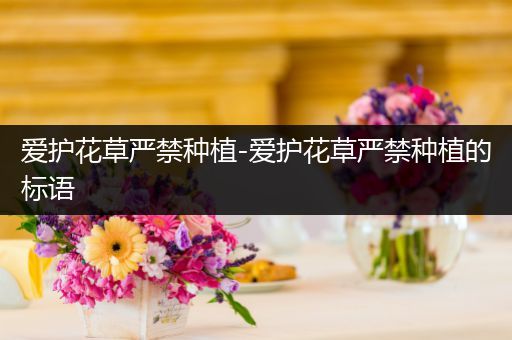 爱护花草严禁种植-爱护花草严禁种植的标语
