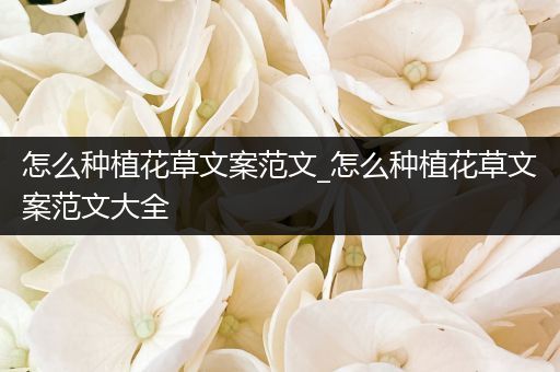 怎么种植花草文案范文_怎么种植花草文案范文大全
