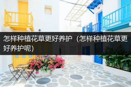 怎样种植花草更好养护（怎样种植花草更好养护呢）