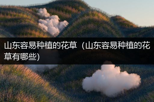 山东容易种植的花草（山东容易种植的花草有哪些）