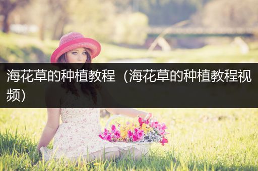 海花草的种植教程（海花草的种植教程视频）