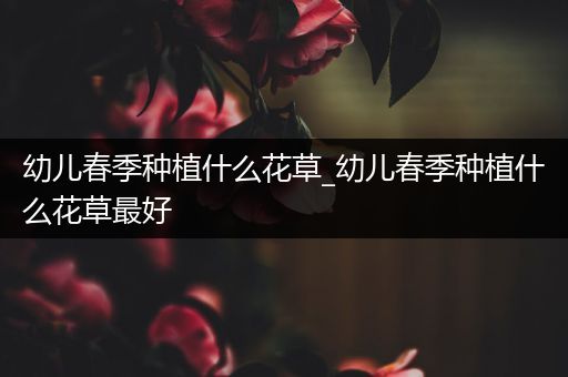 幼儿春季种植什么花草_幼儿春季种植什么花草最好