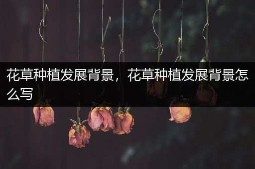 花草种植发展背景，花草种植发展背景怎么写