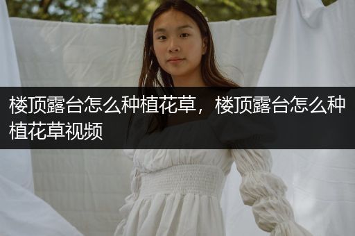 楼顶露台怎么种植花草，楼顶露台怎么种植花草视频