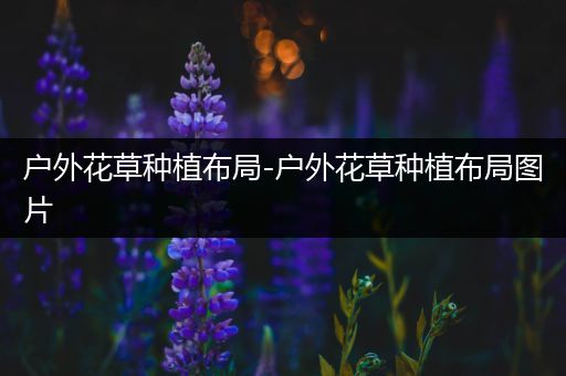 户外花草种植布局-户外花草种植布局图片