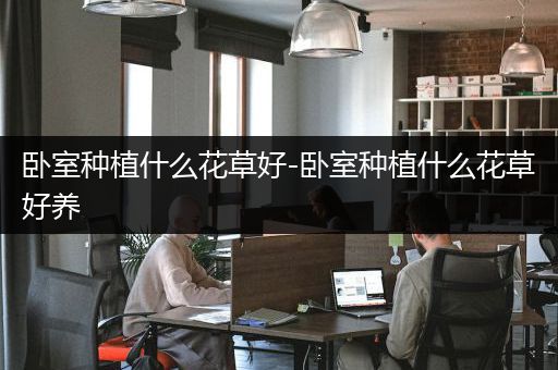 卧室种植什么花草好-卧室种植什么花草好养
