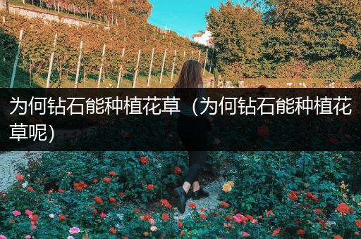 为何钻石能种植花草（为何钻石能种植花草呢）
