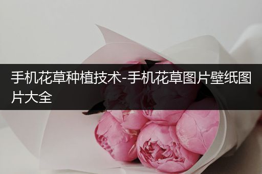 手机花草种植技术-手机花草图片壁纸图片大全
