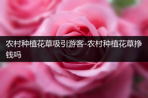 农村种植花草吸引游客-农村种植花草挣钱吗