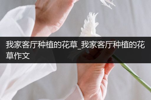 我家客厅种植的花草_我家客厅种植的花草作文