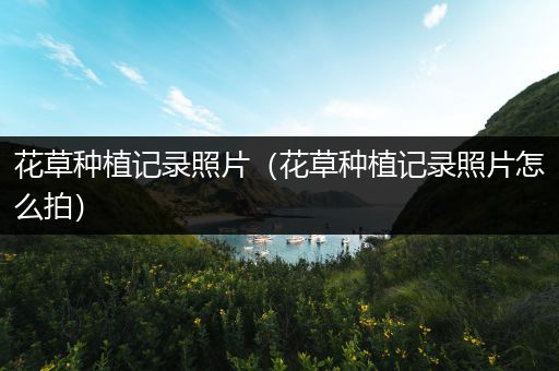 花草种植记录照片（花草种植记录照片怎么拍）