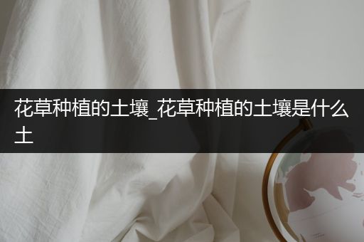 花草种植的土壤_花草种植的土壤是什么土