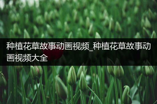 种植花草故事动画视频_种植花草故事动画视频大全