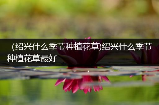 （绍兴什么季节种植花草)绍兴什么季节种植花草最好