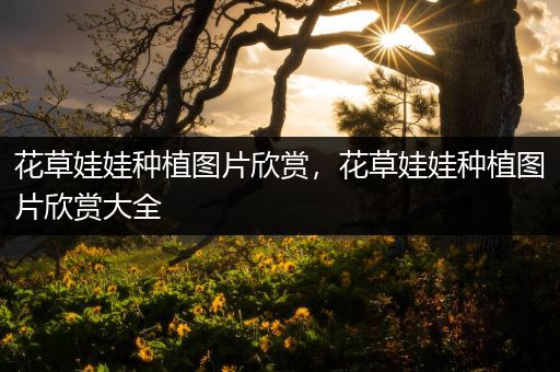 花草娃娃种植图片欣赏，花草娃娃种植图片欣赏大全