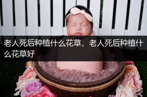老人死后种植什么花草，老人死后种植什么花草好