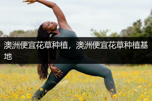 澳洲便宜花草种植，澳洲便宜花草种植基地