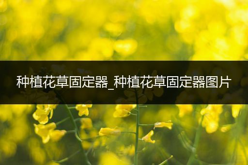 种植花草固定器_种植花草固定器图片