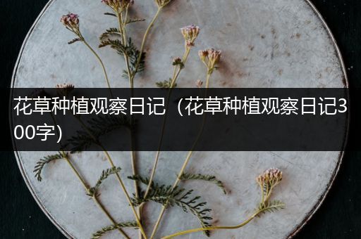 花草种植观察日记（花草种植观察日记300字）