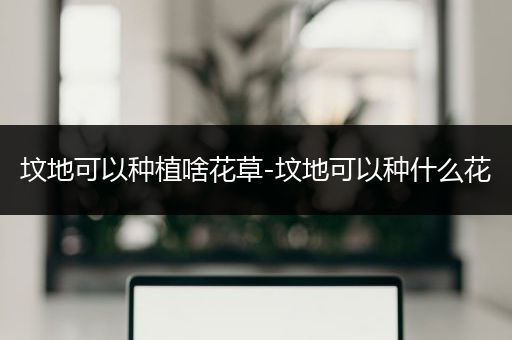 坟地可以种植啥花草-坟地可以种什么花
