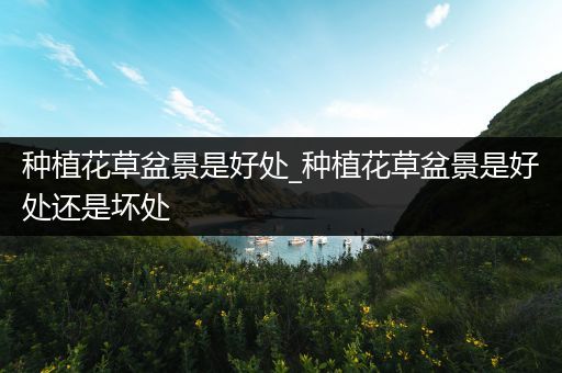 种植花草盆景是好处_种植花草盆景是好处还是坏处