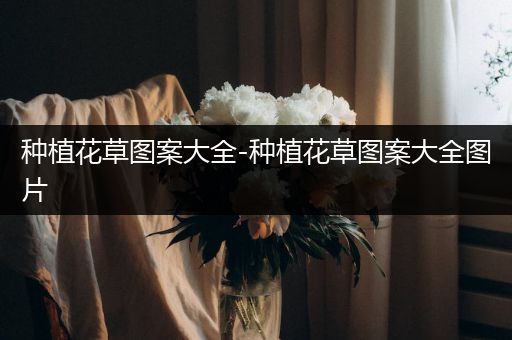 种植花草图案大全-种植花草图案大全图片