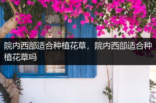 院内西部适合种植花草，院内西部适合种植花草吗