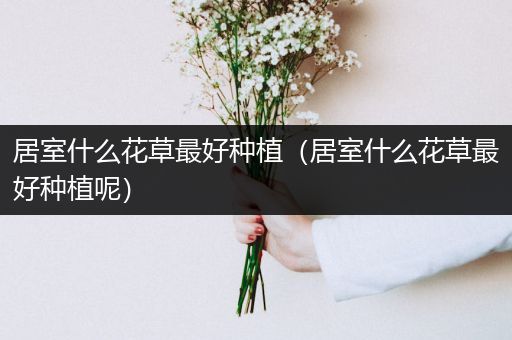 居室什么花草最好种植（居室什么花草最好种植呢）