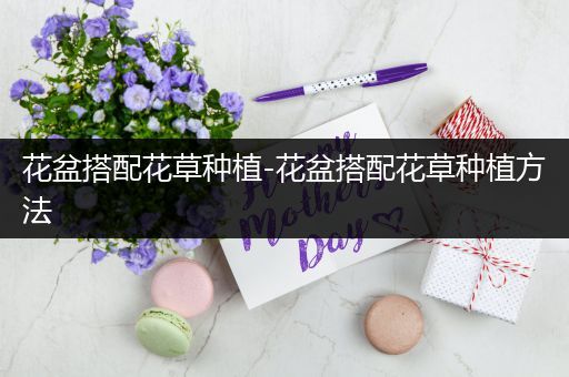 花盆搭配花草种植-花盆搭配花草种植方法