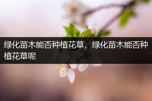 绿化苗木能否种植花草，绿化苗木能否种植花草呢