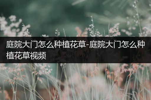 庭院大门怎么种植花草-庭院大门怎么种植花草视频
