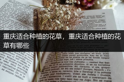 重庆适合种植的花草，重庆适合种植的花草有哪些