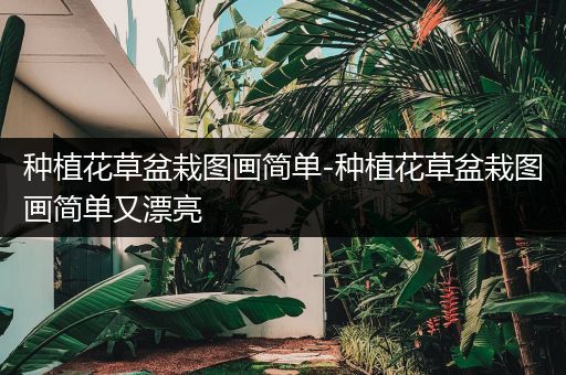 种植花草盆栽图画简单-种植花草盆栽图画简单又漂亮