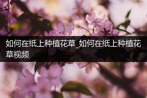 如何在纸上种植花草_如何在纸上种植花草视频